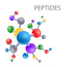 Ingredient Spotlight: Peptides