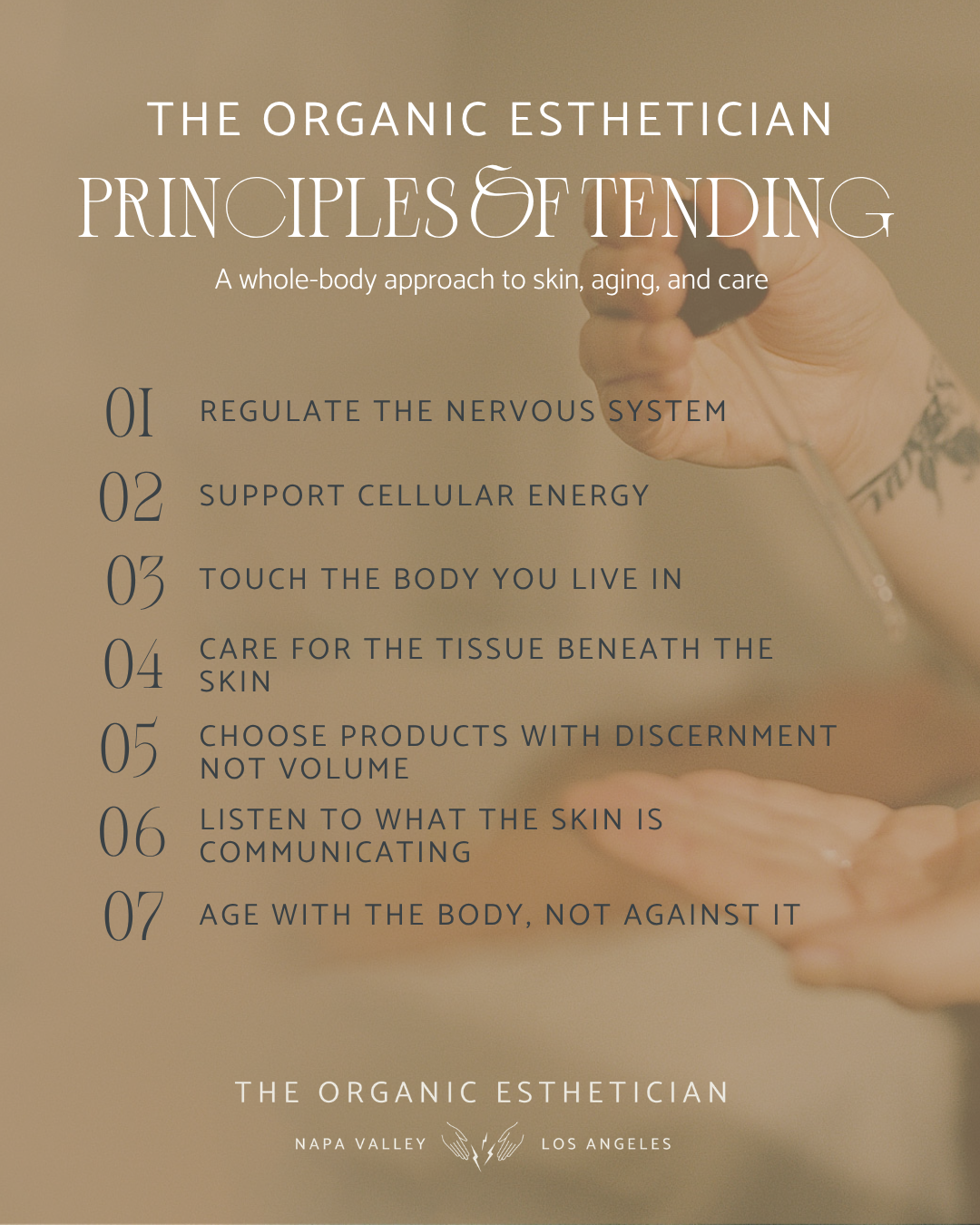 The 7 Principles Of Tending