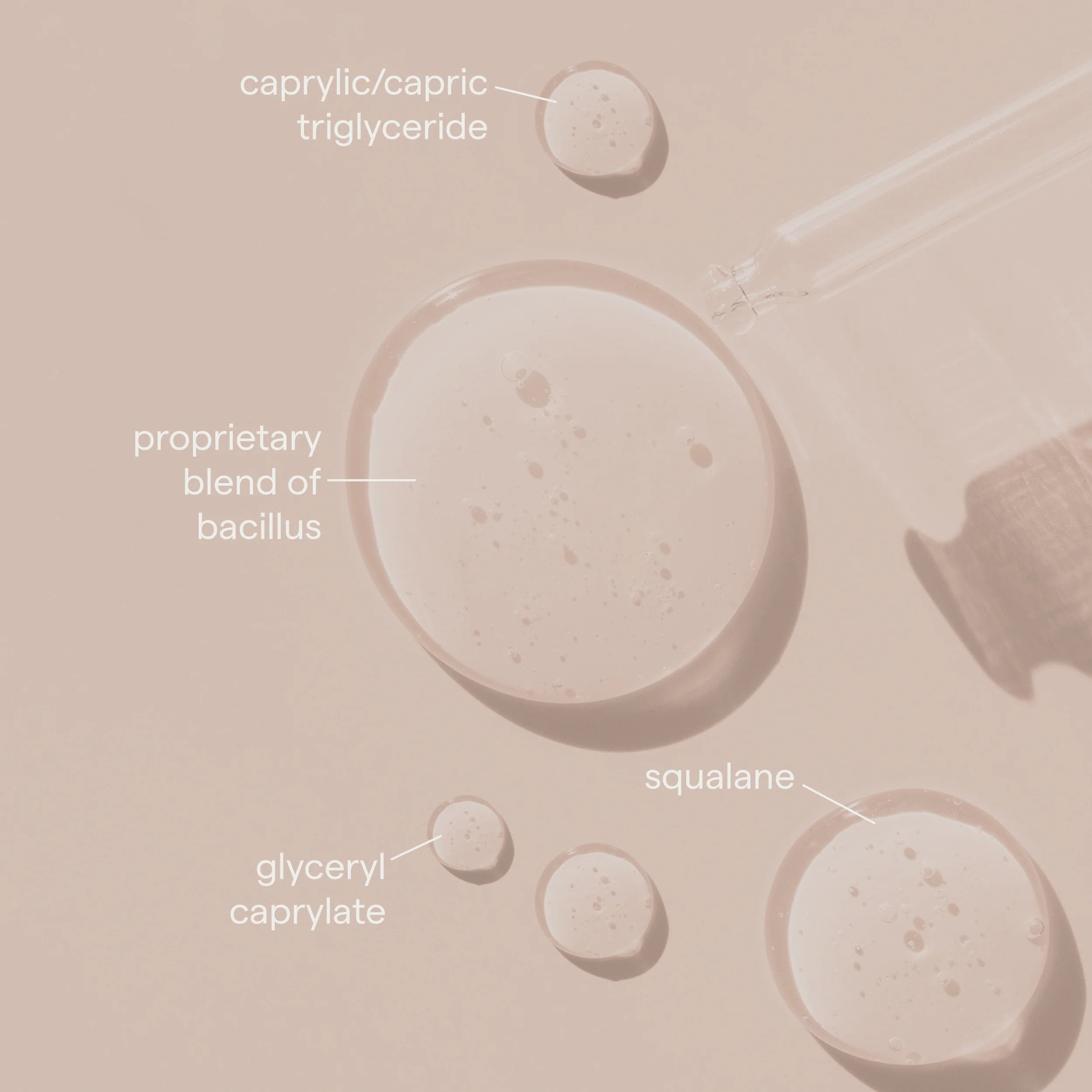 SIV Spore Based Biome Balancing Serum