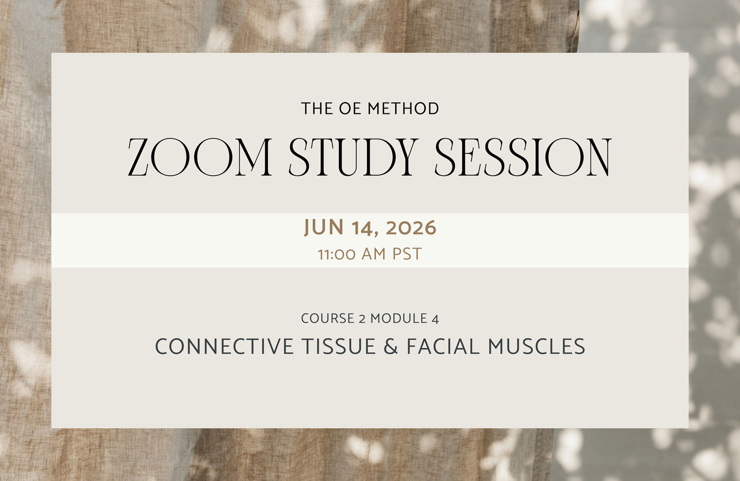 Zoom Study Session: Connective Tissue and Facial Muscles